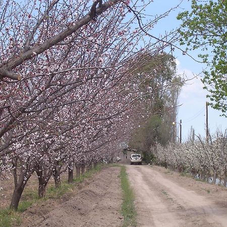 Colonia Alvear Finca La Celestita מראה חיצוני תמונה