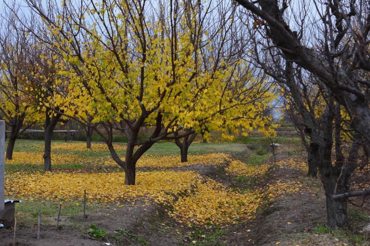 Colonia Alvear Finca La Celestita מראה חיצוני תמונה